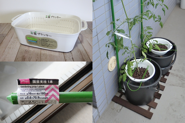 水耕栽培 野菜 100均 道具 まとめ