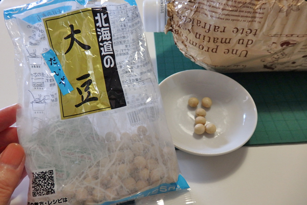 大豆 枝豆 発芽 水耕栽培
