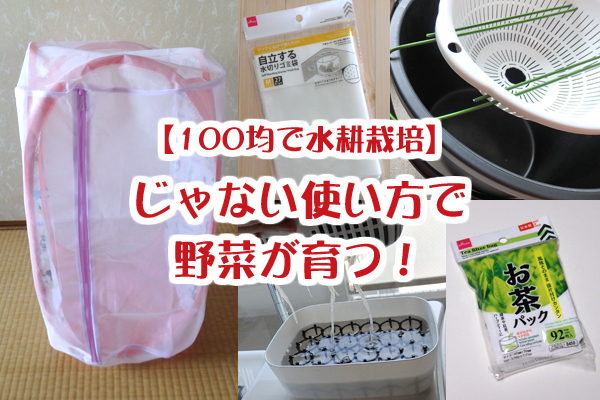 水耕栽培 100均 容器 防虫ネット じゃない使い方