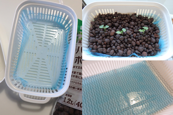 水耕栽培 100均 容器 防虫ネット じゃない使い方
