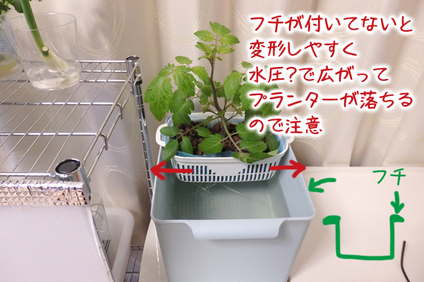 水耕栽培 100均 容器 防虫ネット じゃない使い方