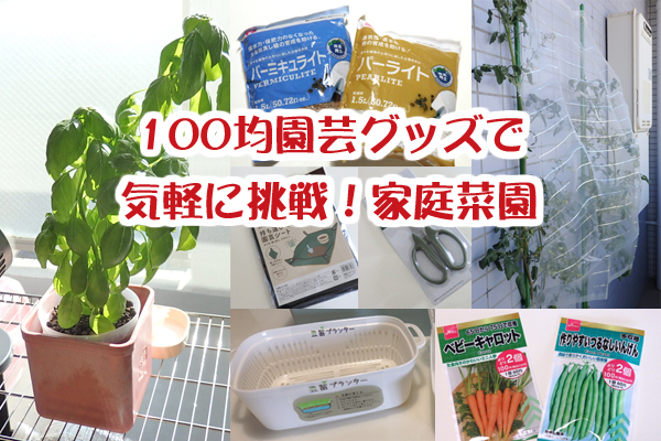 水耕栽培 100均 園芸用品 家庭菜園