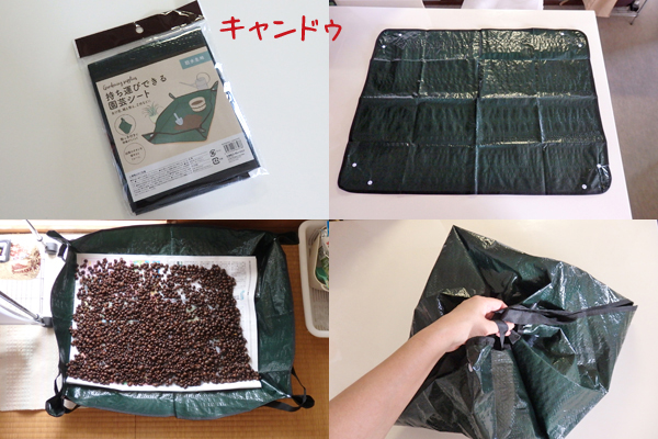 水耕栽培 100均 園芸用品 家庭菜園