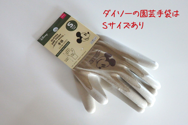 水耕栽培 100均 園芸用品 家庭菜園
