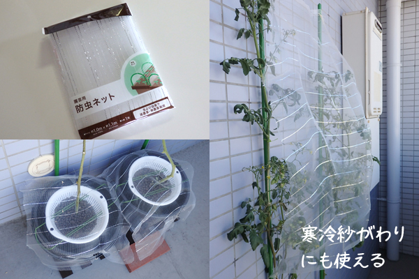 水耕栽培 100均 園芸用品 家庭菜園