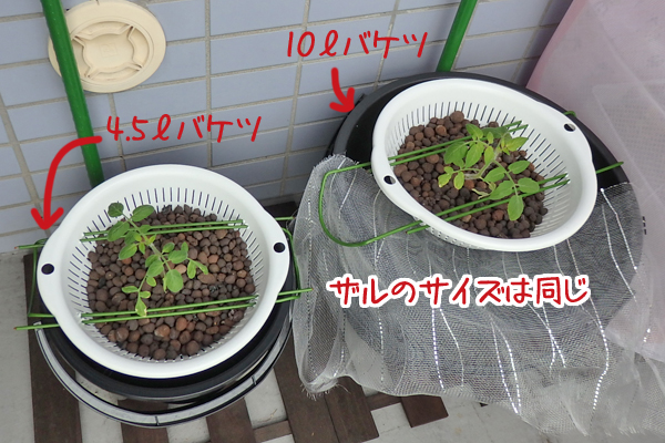水耕栽培 容器 バケツ ザル 園芸支柱 DIY