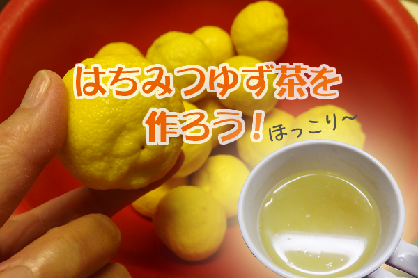 はちみつ ゆず茶 作り方 ゆず 大量 消費 レシピ