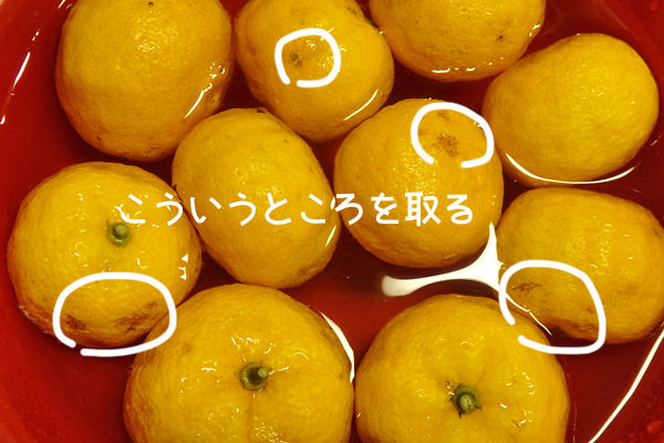 はちみつ ゆず茶 作り方 ゆず 大量 消費 レシピ