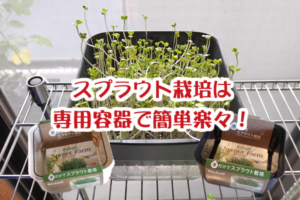 スプラウト 育て方 水耕 栽培 ファーム ブロッコリー リッチェル スプラウトファーム